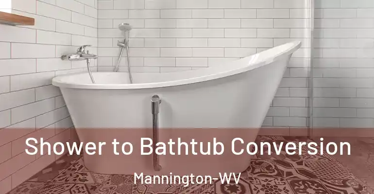 inner Bathroom imggen Shower to Bathtub Conversion Mannington-WV