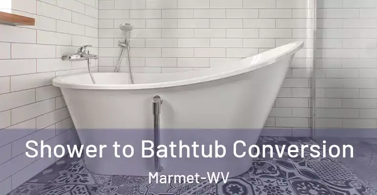 inner Bathroom imggen Shower to Bathtub Conversion Marmet-WV