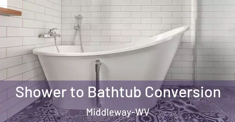 inner Bathroom imggen Shower to Bathtub Conversion Middleway-WV