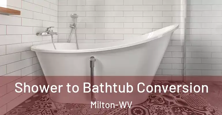 inner Bathroom imggen Shower to Bathtub Conversion Milton-WV