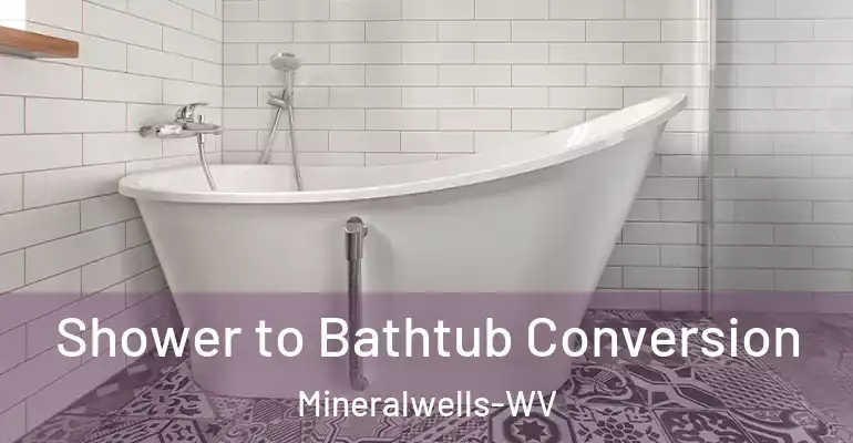 inner Bathroom imggen Shower to Bathtub Conversion Mineralwells-WV