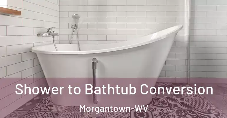 inner Bathroom imggen Shower to Bathtub Conversion Morgantown-WV