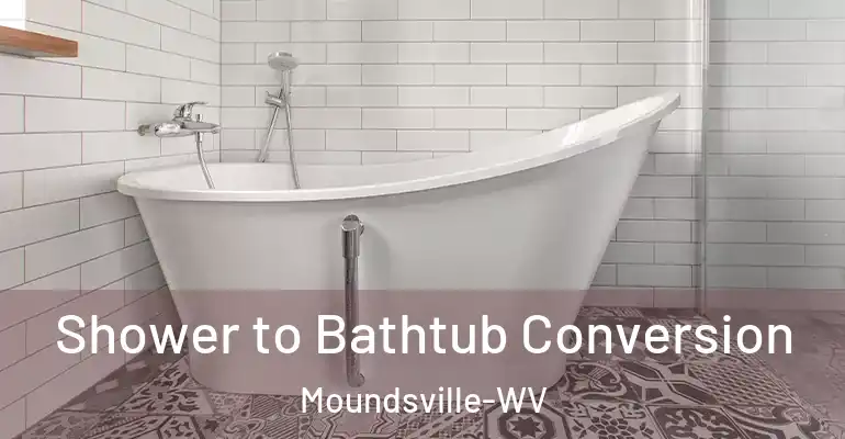 inner Bathroom imggen Shower to Bathtub Conversion Moundsville-WV