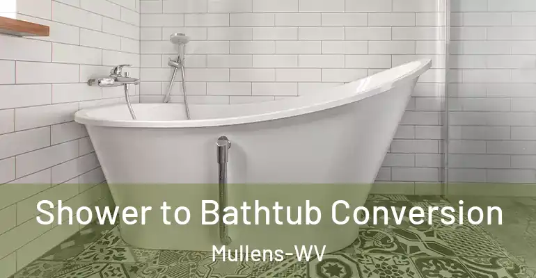 inner Bathroom imggen Shower to Bathtub Conversion Mullens-WV