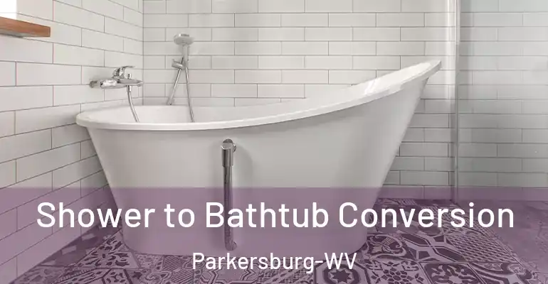 inner Bathroom imggen Shower to Bathtub Conversion Parkersburg-WV