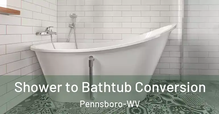 inner Bathroom imggen Shower to Bathtub Conversion Pennsboro-WV