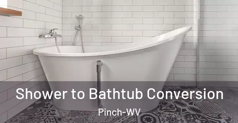inner Bathroom imggen Shower to Bathtub Conversion Pinch-WV