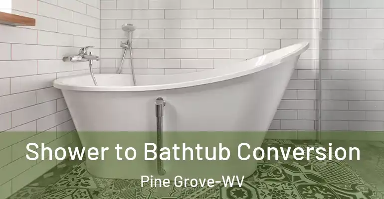 inner Bathroom imggen Shower to Bathtub Conversion Pine Grove-WV