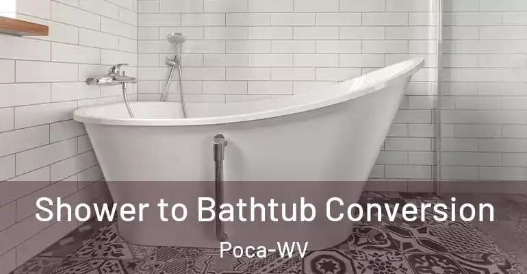 inner Bathroom imggen Shower to Bathtub Conversion Poca-WV