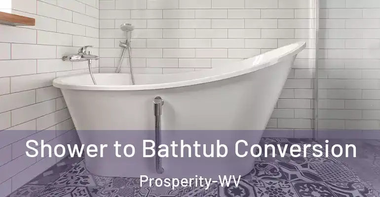 inner Bathroom imggen Shower to Bathtub Conversion Prosperity-WV