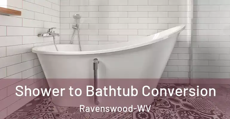inner Bathroom imggen Shower to Bathtub Conversion Ravenswood-WV