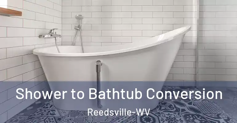 inner Bathroom imggen Shower to Bathtub Conversion Reedsville-WV