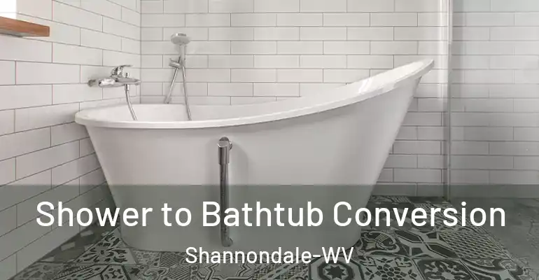 inner Bathroom imggen Shower to Bathtub Conversion Shannondale-WV