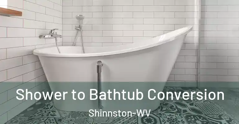 inner Bathroom imggen Shower to Bathtub Conversion Shinnston-WV