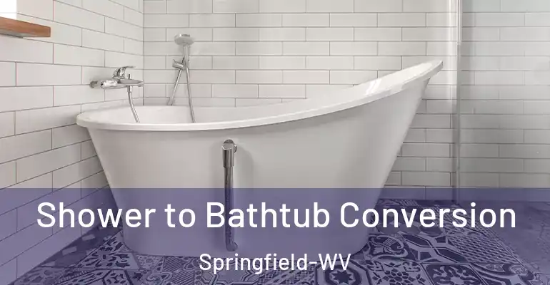 inner Bathroom imggen Shower to Bathtub Conversion Springfield-WV