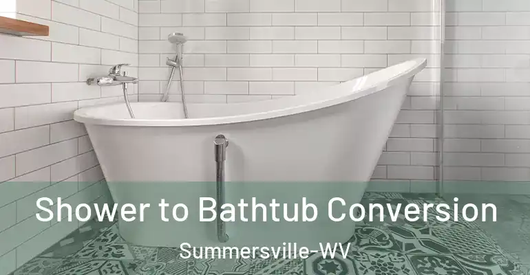 inner Bathroom imggen Shower to Bathtub Conversion Summersville-WV