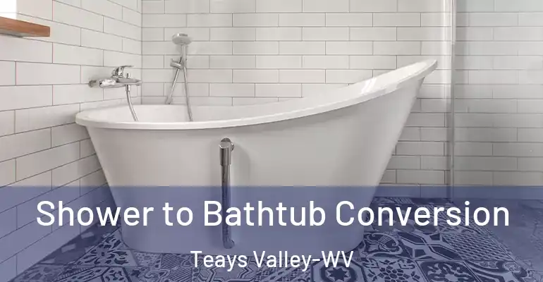 inner Bathroom imggen Shower to Bathtub Conversion Teays Valley-WV