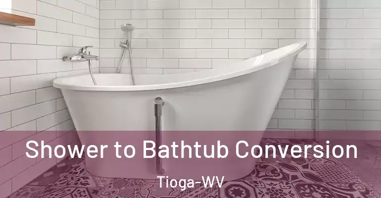 inner Bathroom imggen Shower to Bathtub Conversion Tioga-WV
