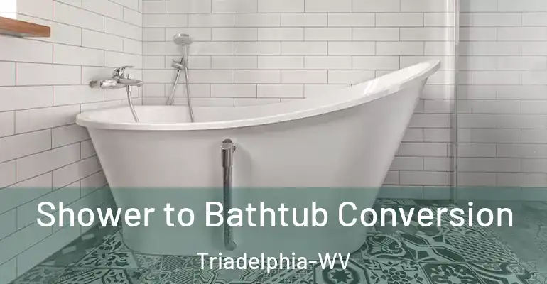 inner Bathroom imggen Shower to Bathtub Conversion Triadelphia-WV