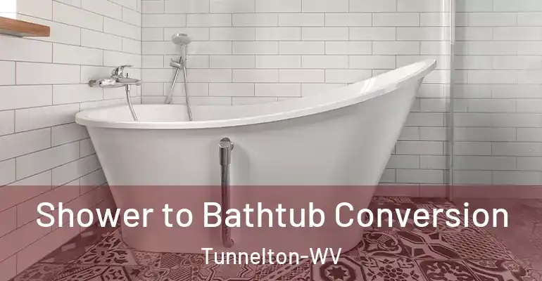 inner Bathroom imggen Shower to Bathtub Conversion Tunnelton-WV