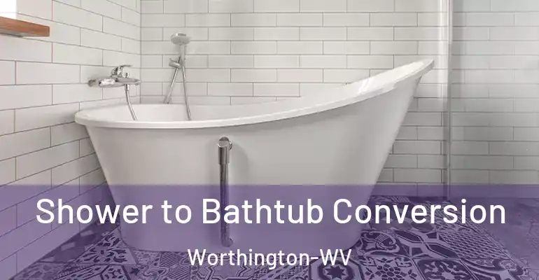 inner Bathroom imggen Shower to Bathtub Conversion Worthington-WV