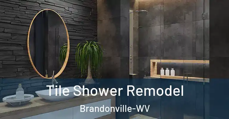 inner Bathroom imggen Tile Shower Remodel Brandonville-WV