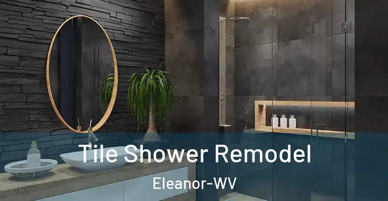 inner Bathroom imggen Tile Shower Remodel Eleanor-WV