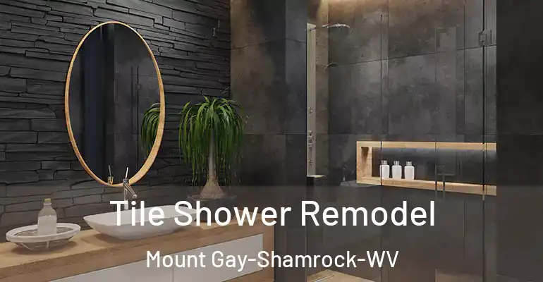 inner Bathroom imggen Tile Shower Remodel Mount Gay-Shamrock-WV
