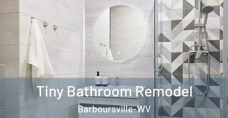inner Bathroom imggen Tiny Bathroom Remodel Barboursville-WV