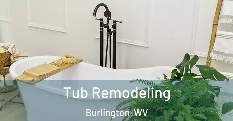inner Bathroom imggen Tub Remodeling Burlington-WV