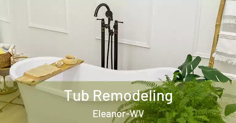 inner Bathroom imggen Tub Remodeling Eleanor-WV