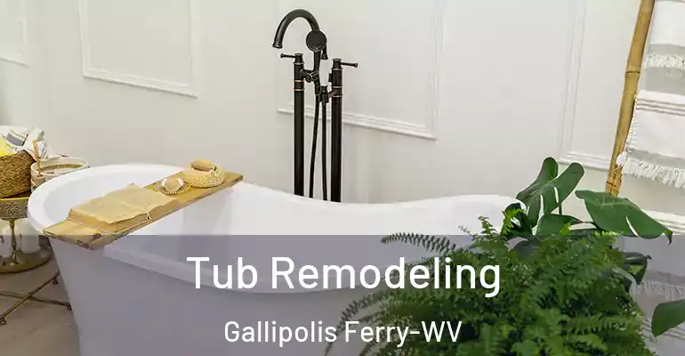 inner Bathroom imggen Tub Remodeling Gallipolis Ferry-WV