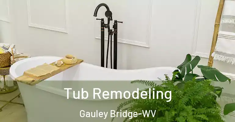 inner Bathroom imggen Tub Remodeling Gauley Bridge-WV