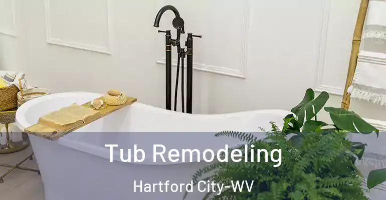 inner Bathroom imggen Tub Remodeling Hartford City-WV