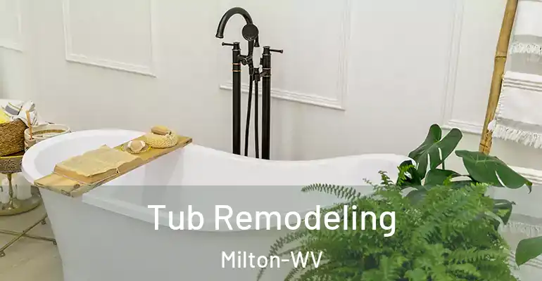 inner Bathroom imggen Tub Remodeling Milton-WV