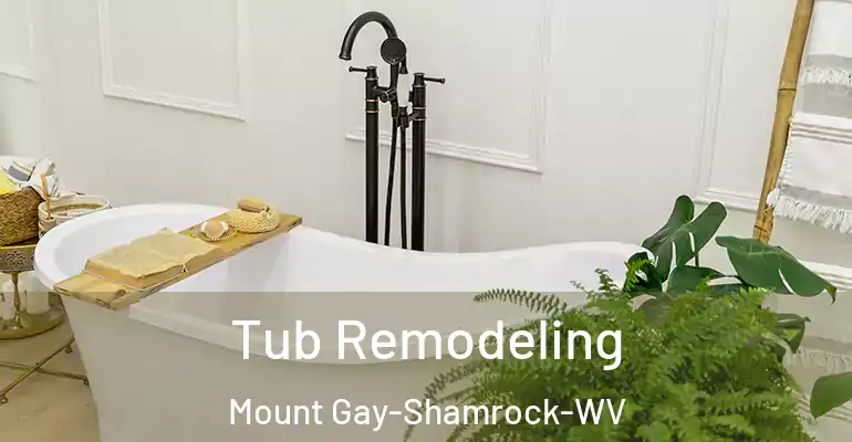 inner Bathroom imggen Tub Remodeling Mount Gay-Shamrock-WV