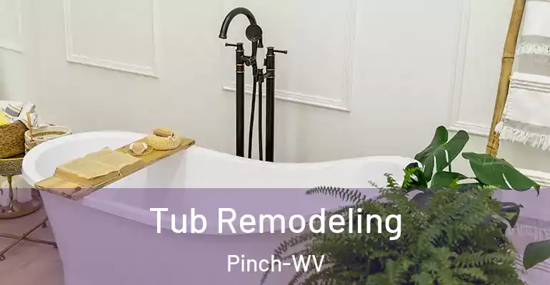 inner Bathroom imggen Tub Remodeling Pinch-WV