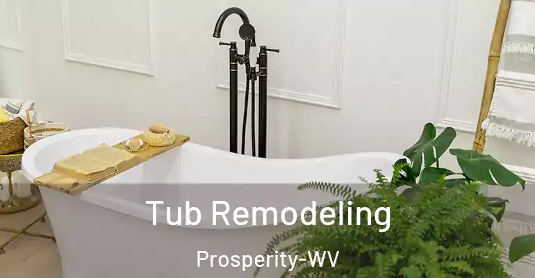 inner Bathroom imggen Tub Remodeling Prosperity-WV