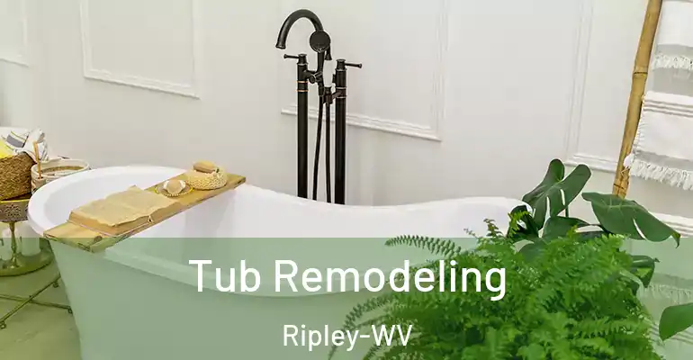 inner Bathroom imggen Tub Remodeling Ripley-WV