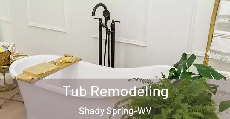 inner Bathroom imggen Tub Remodeling Shady Spring-WV