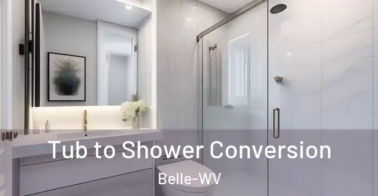 inner Bathroom imggen Tub to Shower Conversion Belle-WV