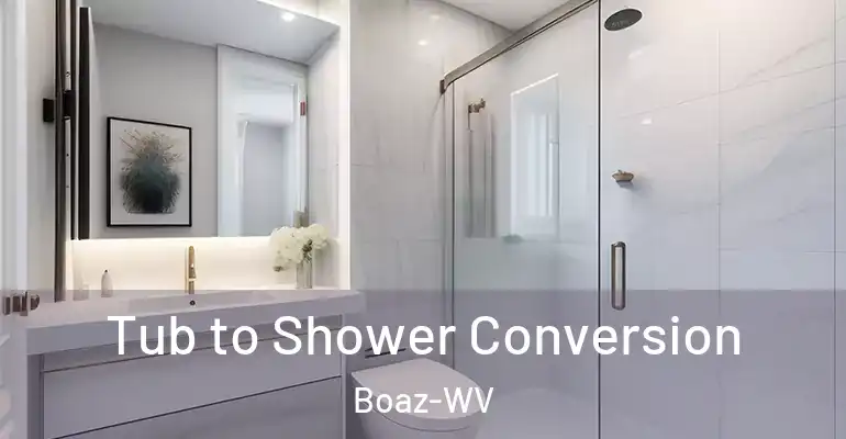 inner Bathroom imggen Tub to Shower Conversion Boaz-WV