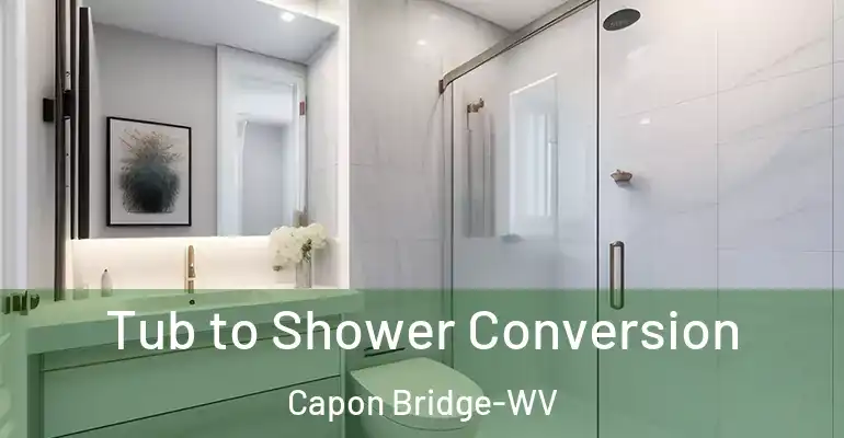 inner Bathroom imggen Tub to Shower Conversion Capon Bridge-WV