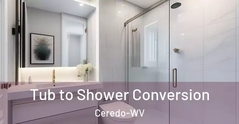 inner Bathroom imggen Tub to Shower Conversion Ceredo-WV