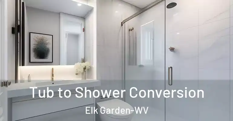 inner Bathroom imggen Tub to Shower Conversion Elk Garden-WV
