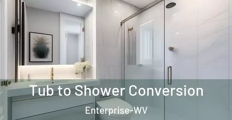 inner Bathroom imggen Tub to Shower Conversion Enterprise-WV