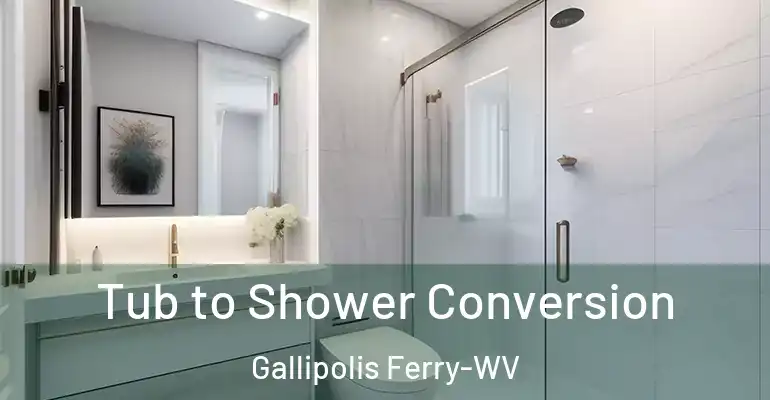 inner Bathroom imggen Tub to Shower Conversion Gallipolis Ferry-WV