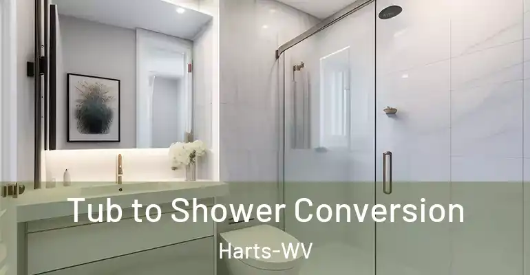 inner Bathroom imggen Tub to Shower Conversion Harts-WV