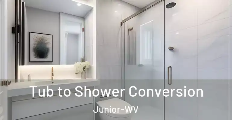 inner Bathroom imggen Tub to Shower Conversion Junior-WV