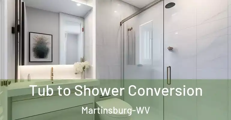 inner Bathroom imggen Tub to Shower Conversion Martinsburg-WV